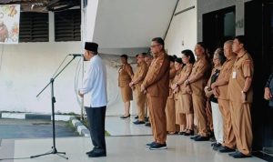 IMG-20250106-WA0011-768x432